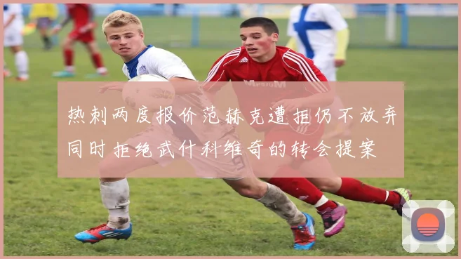 热刺两度报价范赫克遭拒仍不放弃同时拒绝武什科维奇的转会提案